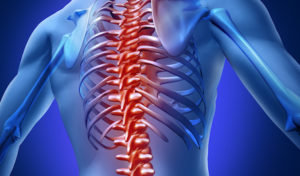 chiropractor richfield ohio